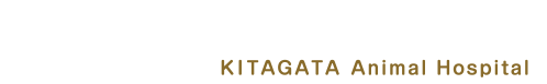 北方動物病院