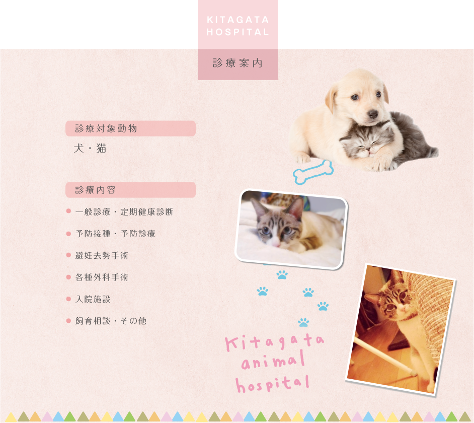 診療案内
診療対象動物
犬・猫